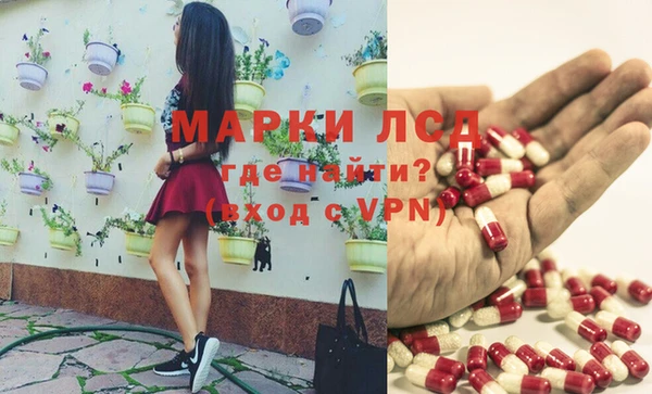 ПСИЛОЦИБИНОВЫЕ ГРИБЫ Армянск