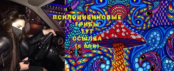 ПСИЛОЦИБИНОВЫЕ ГРИБЫ Армянск