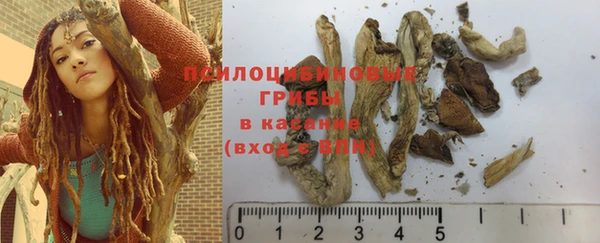 ПСИЛОЦИБИНОВЫЕ ГРИБЫ Армянск