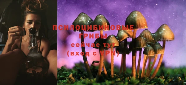 ПСИЛОЦИБИНОВЫЕ ГРИБЫ Армянск