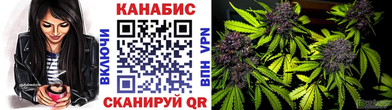 Марихуана индика Сунжа